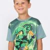 LEGO® NINJAGO® T-shirt med korte ærmer – LWTAFFY 204 -LEGO®