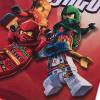 LEGO® NINJAGO® T-shirt – LWTAFFY 208 -LEGO®