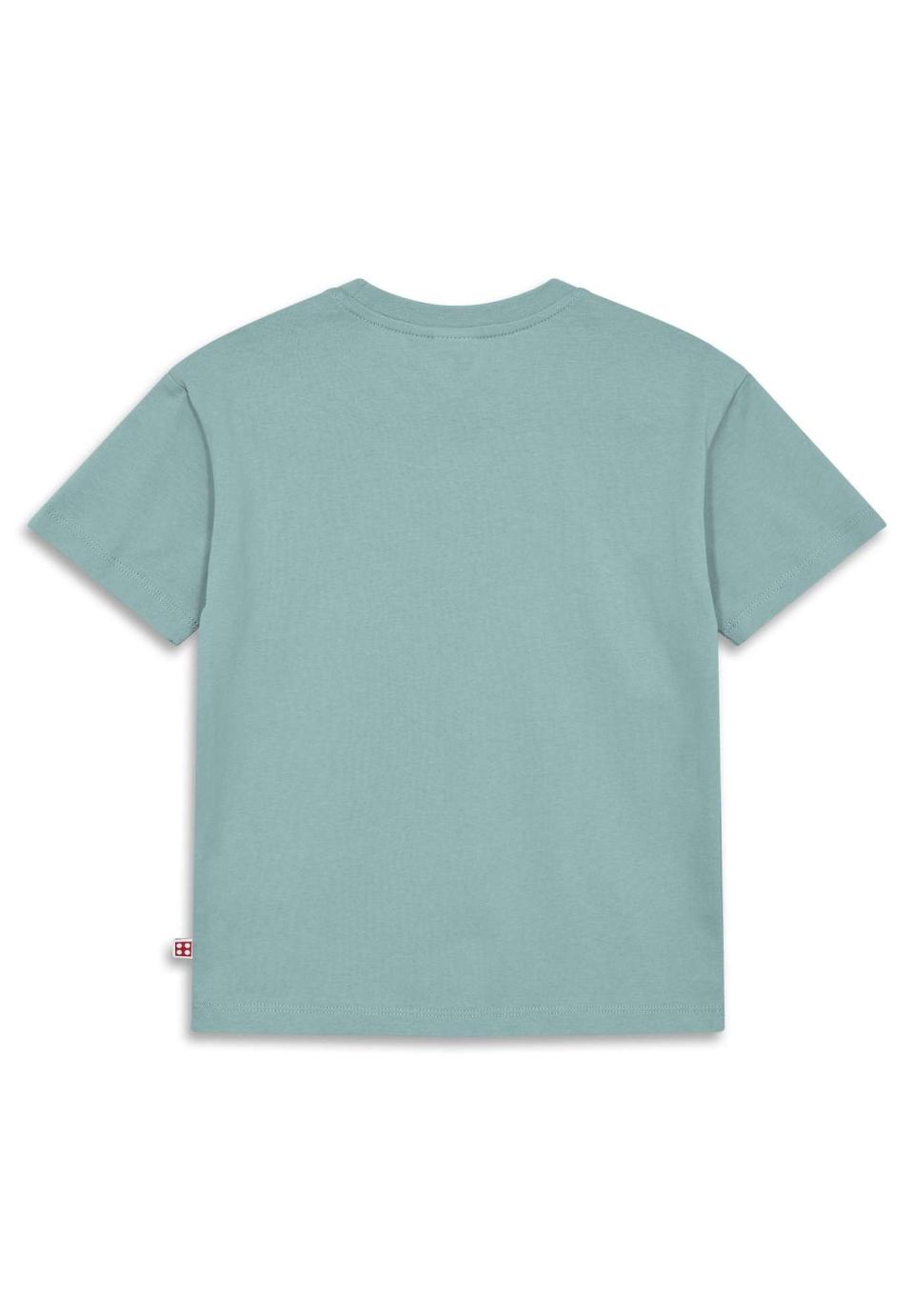 LEGO® NINJAGO® T-shirt kortærmet - LWTAJ 302 -LEGO® NINJAGO®