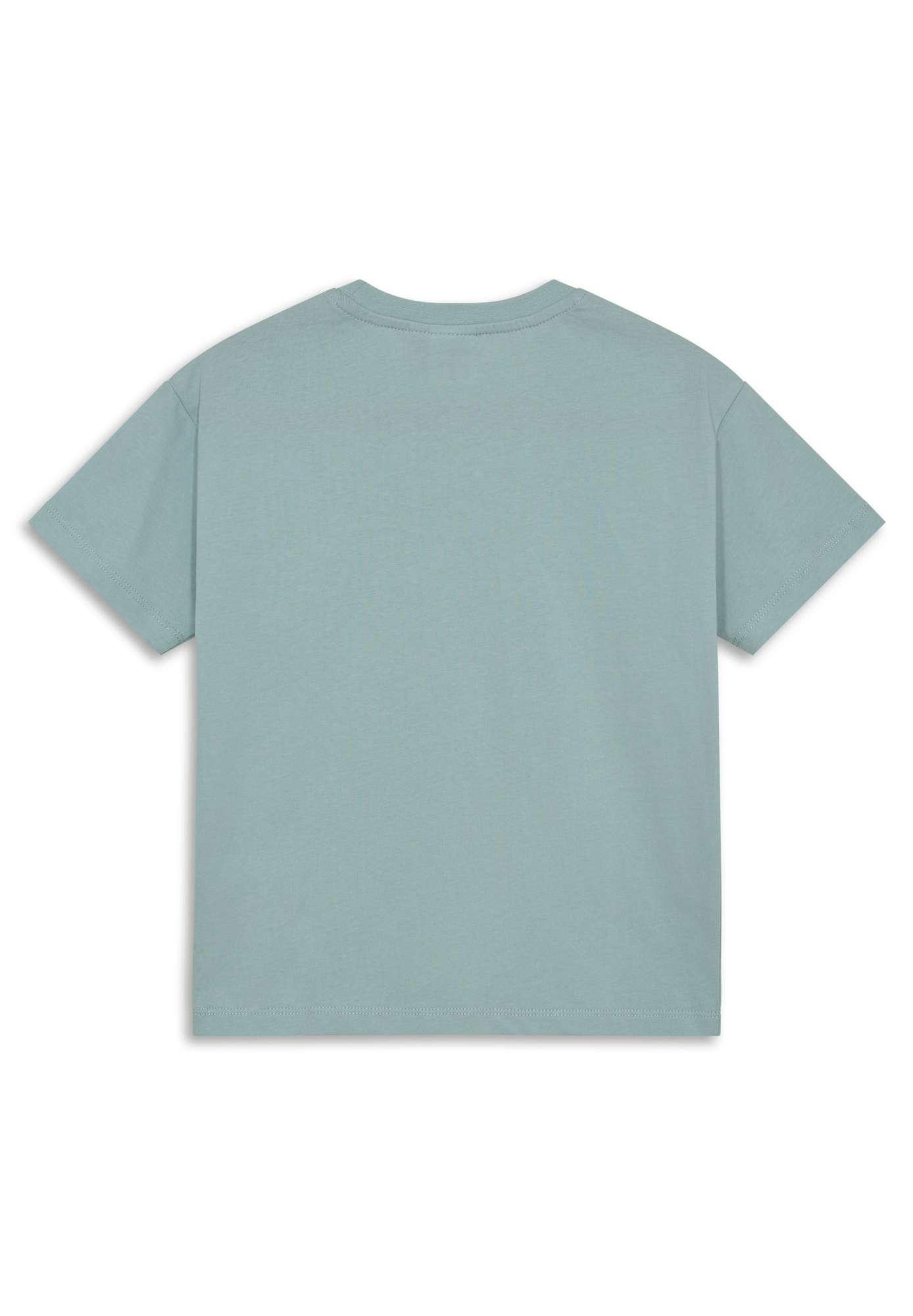 LEGO® NINJAGO® T-shirt kortærmet - LWTAJ 303 -LEGO®