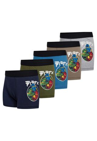 LEGO® NINJAGO® 5-pak boxershorts LWAIKO 603 -LEGO®
