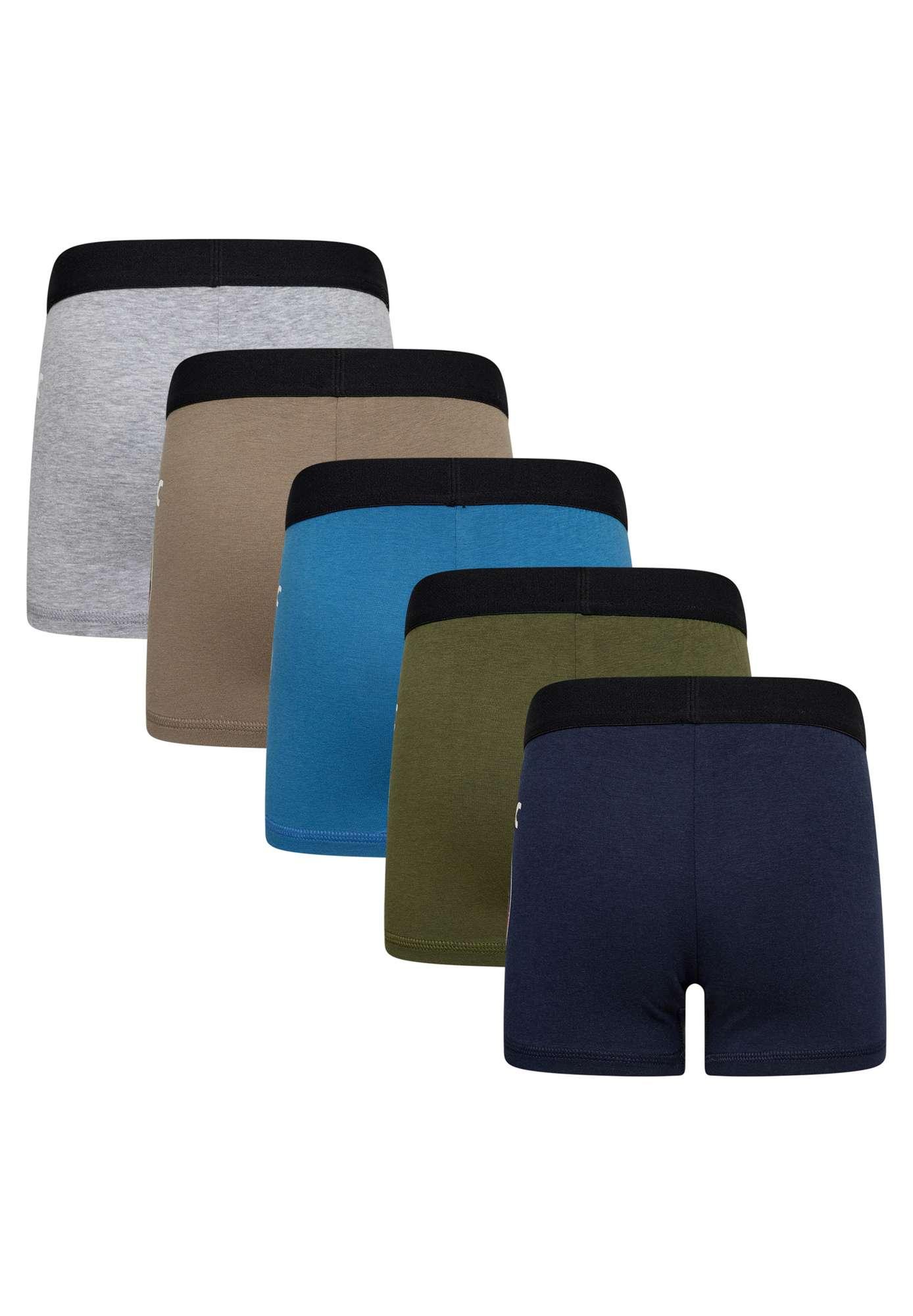 LEGO® NINJAGO® 5-pak boxershorts LWAIKO 603 -LEGO®