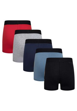 LEGO® NINJAGO® 5-pak boxershorts LWAIKO 706