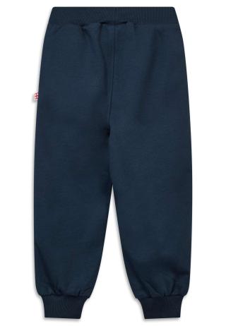 LEGO® sweatpants LWPAX 700