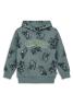 LEGO® NINJAGO® Sweatshirt - LWSAKU 300 - Lysegrøn