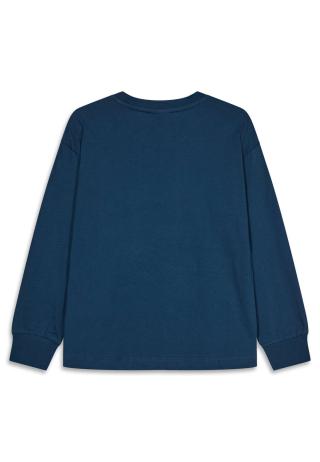 LEGO® langærmet T-shirt LWTAJ 719