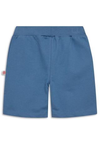 LEGO® NINJAGO® Shorts - LWPINO 300 -LEGO® NINJAGO® LEGO® NINJAGO® Shorts - LWPINO 300 -LEGO® NINJAGO®