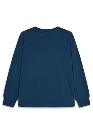 LEGO® langærmet T-shirt LWTAJ 719